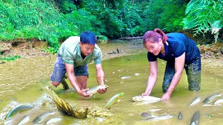 Time lapse  Raising and harvesting wild carp after 6 months Store and eat within 1 month [upl. by Elysee]