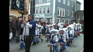 Video vom Faschingszug in Waging 2019 [upl. by Almeeta]