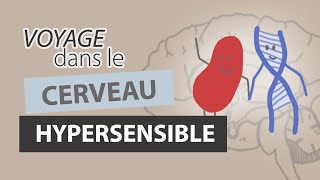 Comment fonctionne le CERVEAU dun HYPERSENSIBLE [upl. by Selig]