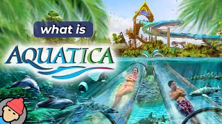 Aquatica Orlando Overview [upl. by Coopersmith641]