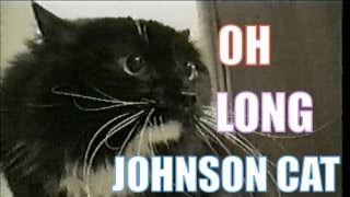 Talking Cat Saying quotOh Long Johnsonquot [upl. by Assisi530]