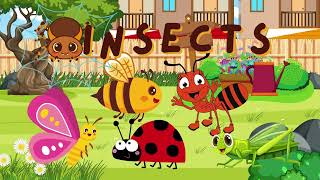 Learn About Amazing Insects Fun Kids Video [upl. by Akedijn]