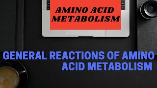 General Reactions of amino acid metabolism  Transamination  Deamination  Decarboxylation [upl. by Anilas]