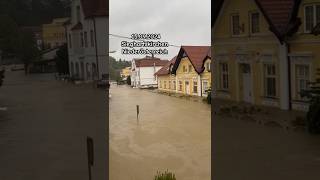 Hochwasser in Österreich 😵‍💫🙏☔️🌧 hochwasser regen überschwemmung österreich klimawandel [upl. by Julietta]