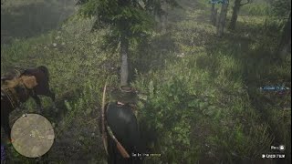 Red Dead Online  Creek Plum Location [upl. by Nollahp]