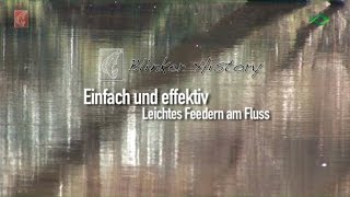 Leichtes Feedern am Fluss Blinker History [upl. by Nolat]