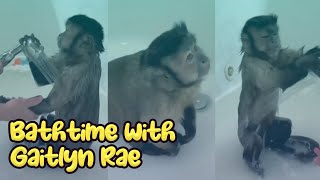 How Does A Monkey Shower  Gaitlyn Rae [upl. by Scholem]