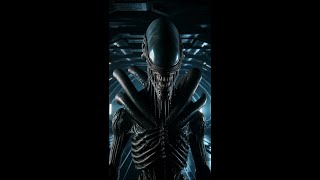 The Xenomorph’s Acid Blood Explained alien aliens xenomorph speculativebiology [upl. by Onailil]