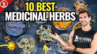 Top 10 Best Medicinal Herbs  For Health amp Vitality [upl. by Senior]