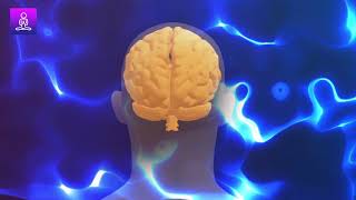 Brain Healing Music Brain Hemisphere Synchronization Binaural Beats [upl. by Hcirdla]