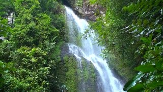 Northern Nicaragua  natural beauty landscapes fauna amp flora [upl. by Thayne]