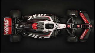 HAAS F1 TEAM LIVERY REVEALED VF24 [upl. by Nnylrahc]