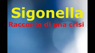 La Crisi di Sigonella La Storia Siamo Noi [upl. by Nnylylloh]