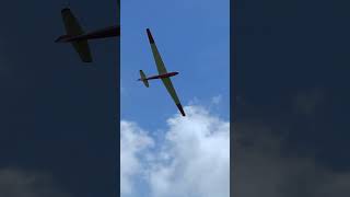 LF107 Black Horse  6m giant scale RC glider rcglider rcaerotow [upl. by Nylle]