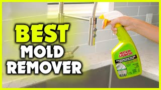 Best Mold Remover 2022 Top 5 Picks [upl. by Ervin]