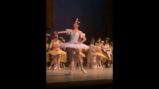 Standing ovation quotRAYMONDAquot MARIINSKY BALLETStanding ovation [upl. by Strickland]