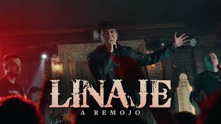 Linaje  A remojo Videoclip oficial [upl. by Miki]