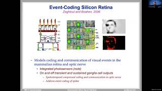 Neuromorphic silicon neural interfaces  Gert Cauwenberghs and Duygu Kuzum UC San Diego [upl. by Enhpad]