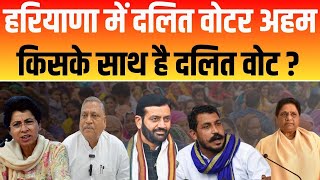 हरियाणा में दलित वोटर अहम किसके साथ है दलित वोट   Haryana Election  Haryana News [upl. by Joana871]