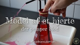 Hjertets pumpen  Lav en model af hjertet der pumper blod [upl. by Eirot]