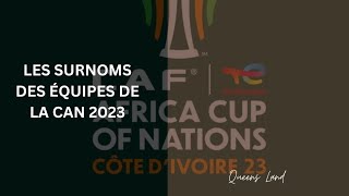 CAN 2023 🇨🇮 Surmons des 24 équipes ⚽️ [upl. by Pollitt522]