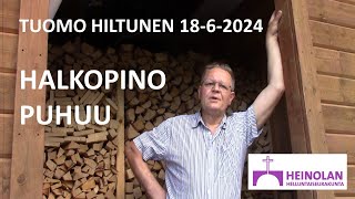 Tuomo Hiltunen 1862024HALKOPINO PUHUU [upl. by Accebar]