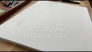 Lockdown Embryology with Prof Alice Roberts 4 Week 4 [upl. by Spindell]