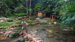 2 years living in forest build pond raise school of carp Harvesting amp catching fish after 1 year [upl. by Aizek580]