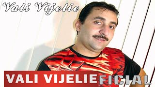 VALI VIJELIE  Te iubesc te iubesc OFICIAL AUDIO TRACK [upl. by Buroker287]