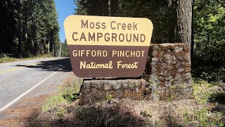 REVIEWING EACH CAMPSITE  Moss Creek Campground  Little White Salmon River  Gifford Pinchot  4K [upl. by Hux]