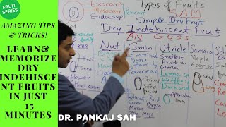 FRUITS  PART 8 DRY INDEHISCENT FRUITS TIPS amp TRICKS TO LEARN amp REMEMBER ALL TYPES [upl. by Nairred]