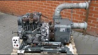 Big Old Lister Engines COLD STARTING UP and COOL SOUND [upl. by Hobey]