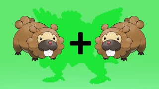 Bidoof plus Bidoof equals [upl. by Akinna]