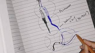 Corticospinal tracts  Desecending tracts Urdu Hindi 2020 neuroanatomy [upl. by Meri]