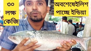 অবশেষে দূর্গা পূজা উপলক্ষে ইলিশ পাচ্ছে ইন্ডিয়া  SM FOOD [upl. by Othello]