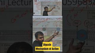 Digoxin Mechanism of action How digoxin Work  Cardiac Glycosides [upl. by Ymmij]