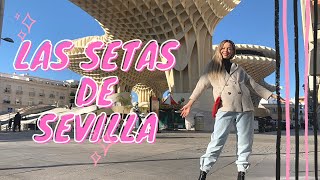 QUÉ SON LAS SETAS DE SEVILLA  FLOR DURE DE VIAJE [upl. by Goldstein]