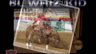 BL WHIZ KID  1996 Stallion [upl. by Debbra]