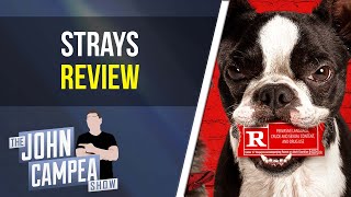 Strays Movie Review [upl. by Llennol446]