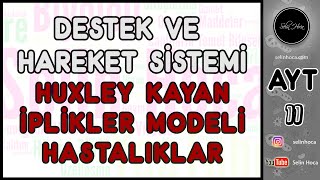 15 Destek ve Hareket Sistemi  Huxley Kayan İplikler Modeli  Hastalıklar [upl. by Frederique]