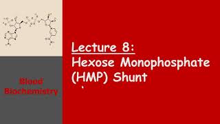 Blood Biochemistry  Hexose Monophosphate HMP Shunt [upl. by Aitnohs737]