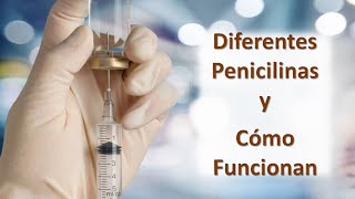 Diferentes tipos de Penicilinas y Cómo funcionan [upl. by Simons300]