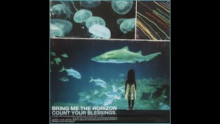 BRING ME THE HORIZON  COUNT YOUR BLESSINGS 2006  FULL ALBUM [upl. by Notliw]