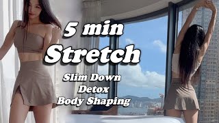 5min Stretch for a Fit Body Nice Posture Body reShaping A Beginner Routine WARM UP COOL DOWN [upl. by Ecaidnac404]