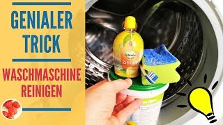 Genialer Trick Waschmaschine reinigen mit Hausmitteln  mit Flusensieb Türdichtung amp Schublade [upl. by Lonnie948]