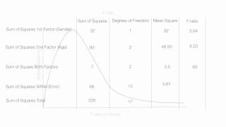 How to Interpret the Results of A Two Way ANOVA Factorial [upl. by Nalad]