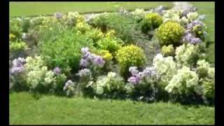 Le jardin du Luxembourg Paris en verano [upl. by Tupler780]