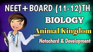 Notochord amp Development 👉🏻 Animal Kingdom Class 11th Biology education biology board neet [upl. by Jensen6]