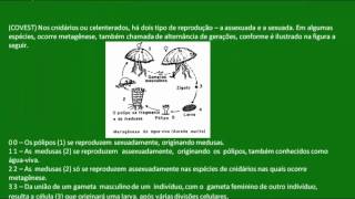 Revisão sobre a reprodução dos cnidários  Zoologia  Biologia [upl. by Horacio]