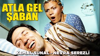 Atla Gel Şaban Türk Filmi  FULL HD  Restorasyonlu Kemal Sunal Filmleri [upl. by Jarietta]